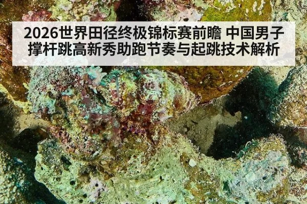 2026世界田径终极锦标赛前瞻 中国男子撑杆跳高新秀助跑节奏与起跳技术解析